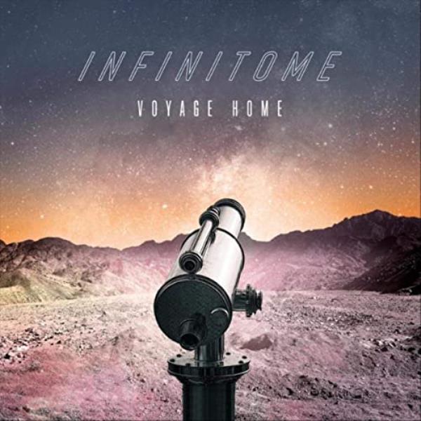 Voyage Home
